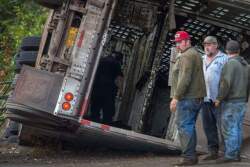 Yes, basic insurance for the farm is pricey. But an umbrella policy is usually more palatable, and it could save your operation in the event of a wreck or other tragedy, says Purdue's Fred Whitford.
