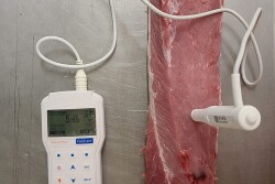 Measuring pH in pork