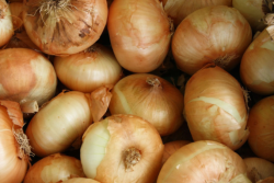 D7120EDA-1394-42E6-AECCA736CC37E680.png