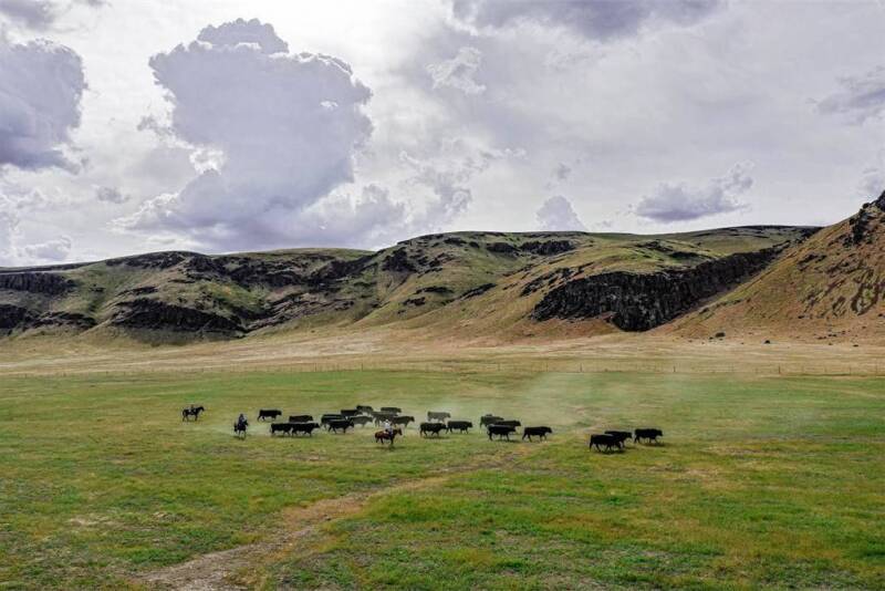 25 Ranch, Battle Mountain, Nevada