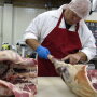 Small butcher plant worker