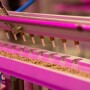 Kalera indoor vertical farm