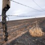 Burned.fence_.sam_.craft_.jpg