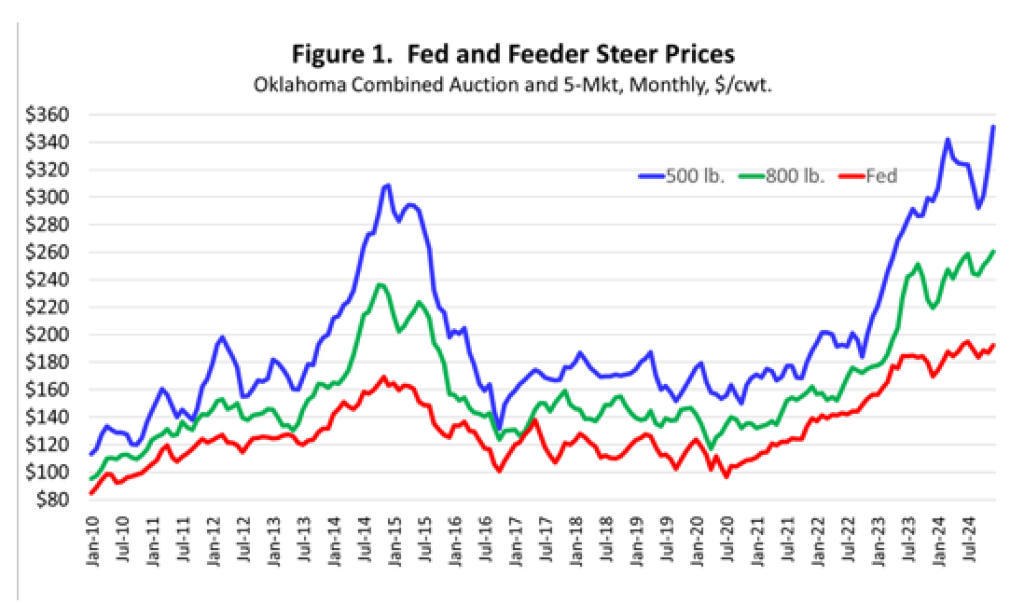 Cattle Prices Near Record Levels to Finish 2024 Drovers