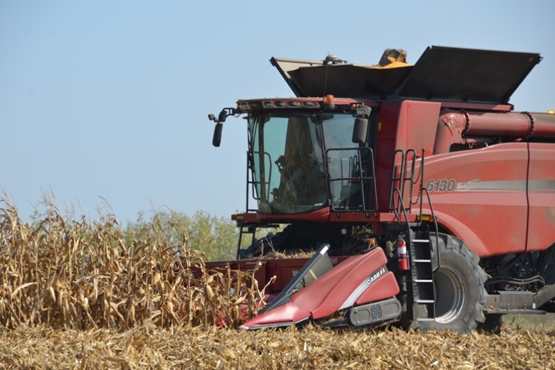 Corn harvest is in full swing.
