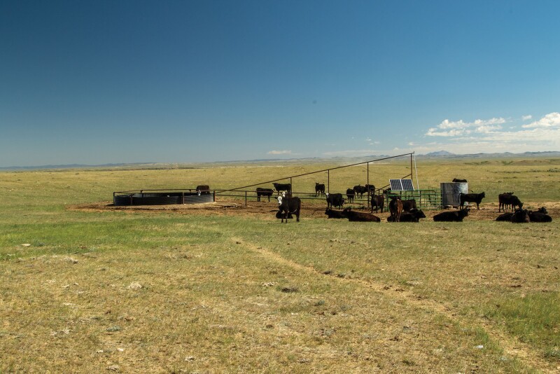 Hall Ranch