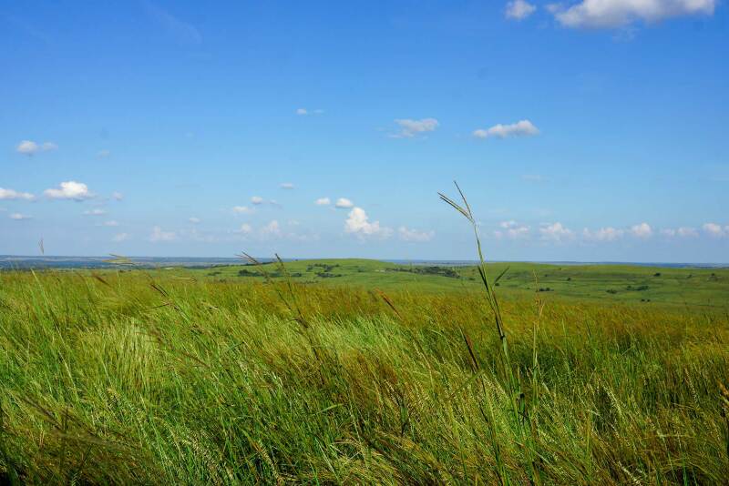 Cedar Vale Ranch
