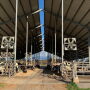 Glo-Crest Dairy