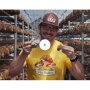 ForkinRoad-EllijayMushrooms.jpg