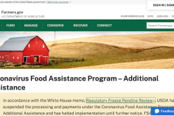 USDA CFAP Page