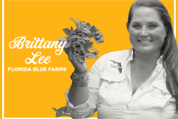 LEE_Brittany-WiP_web.png
