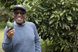 California Avocado Commission Celebrates June 2023 CA Avocado Month