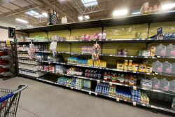 Infant formula shortage