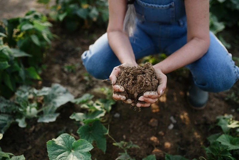 USDA Launches New 0 Million Regenerative Ag Pilot Program USDA Launches New 0 Million Regenerative Ag Pilot Program