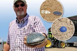 Mississippi producer Bernie Wright holds a hefty Native American celt  found jutting out of a field this past spring. To the right are pictures of a Civil War-era bullet and an old marble.