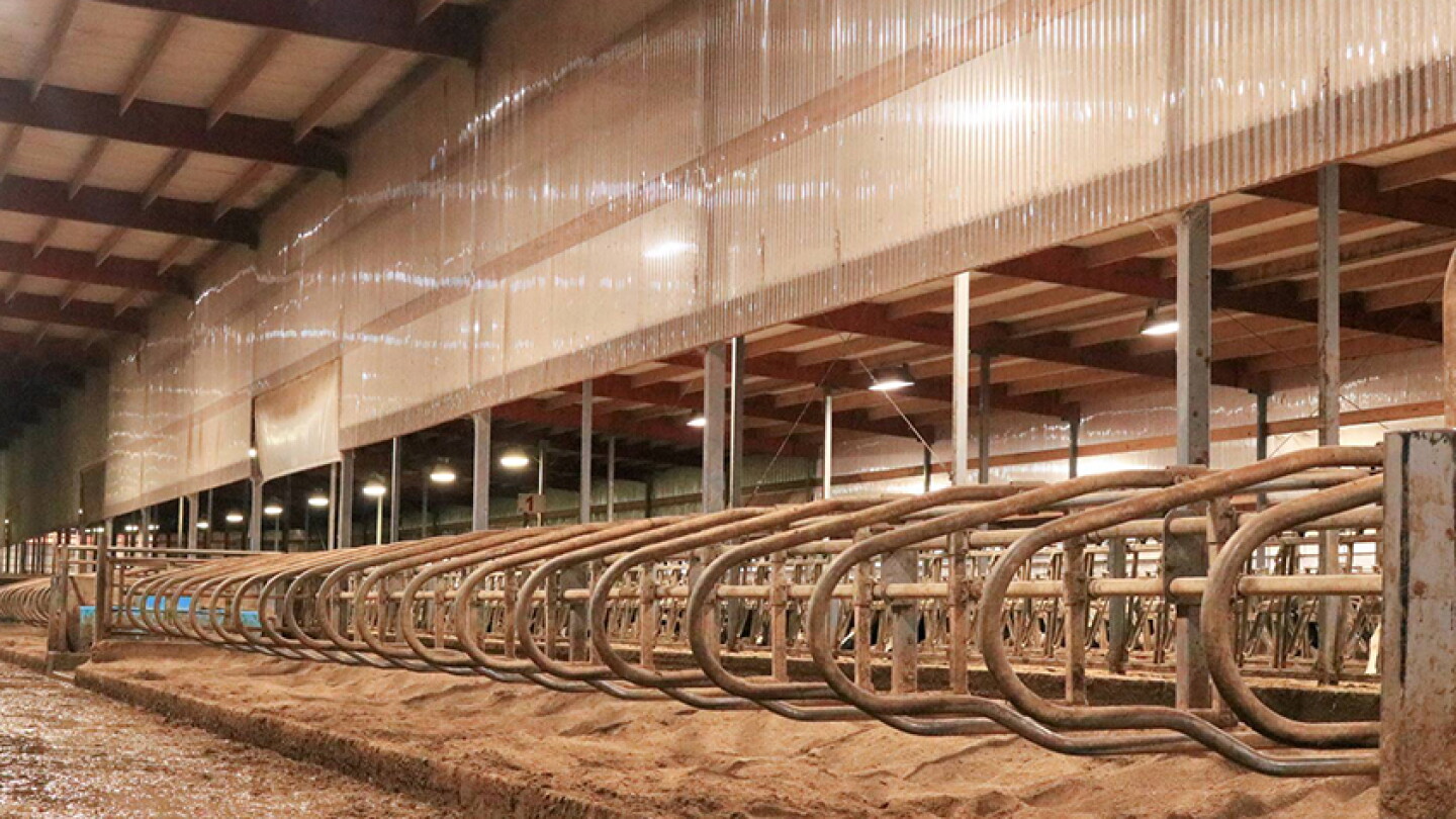 Rubber Flooring Tips for Installation Maintenance and Longevity - Dairy ...