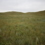 While parts of the Midwest catch some much needed rains, other areas face dry conditions this growing season. Here's a look at the seasonal drought outlook and what it means for pasture and range conditions.