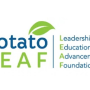 Potato Leaf
