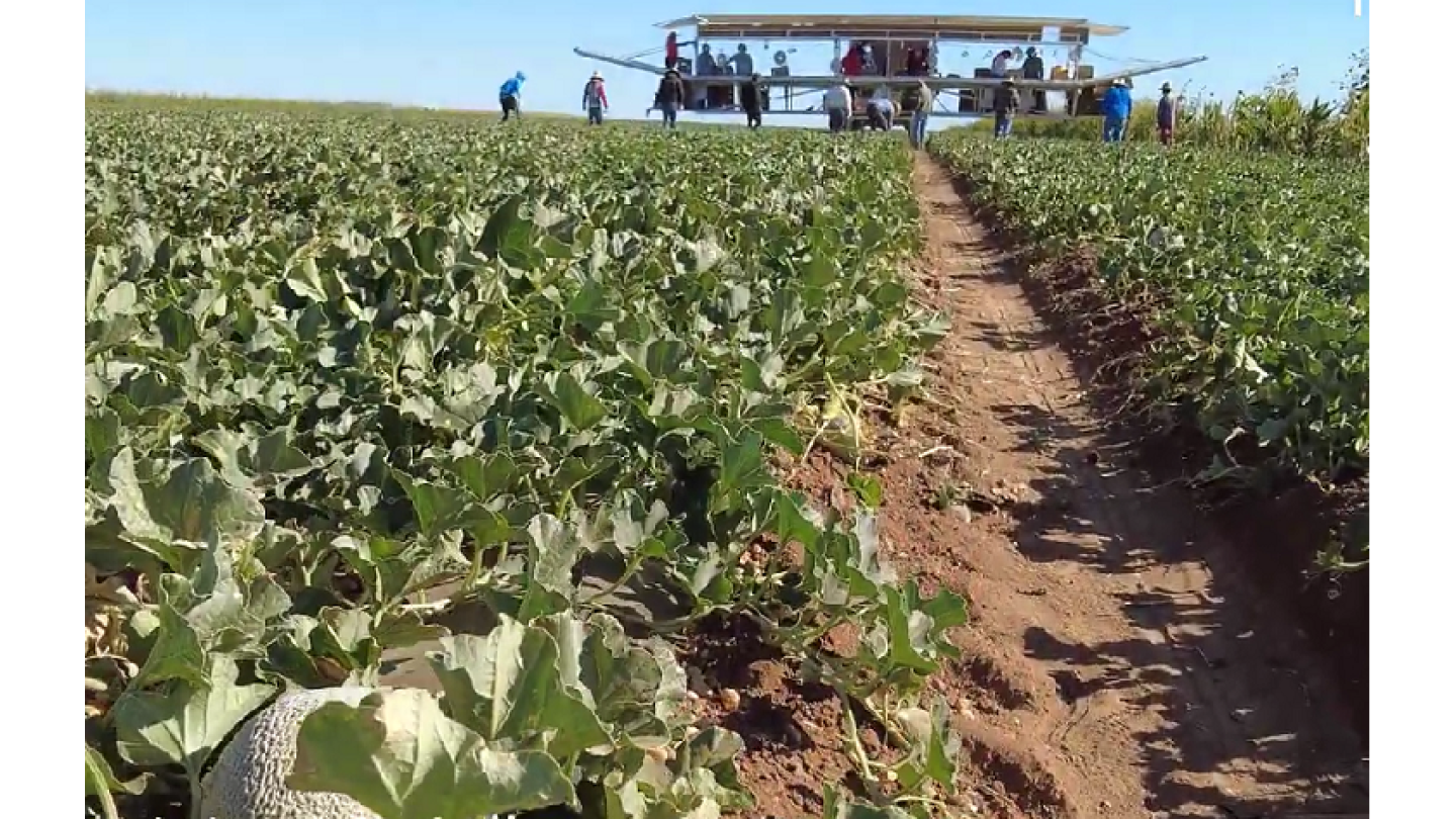 Western Growers spotlights California’s historic drought in new ...