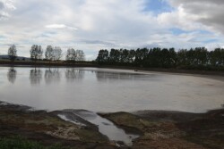 Manure_Lagoon