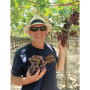 Awe Sum Organics will supply customers with high-quality organic table grapes for loading on both coasts during the winter months, says David Posner, president and CEO.
