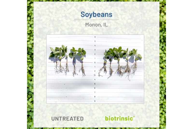 In high-nematode-stress trials, biotrinsic Z15 increased corn yields by 2.8 bu/acre and soybean yields by more than 1.0 bu/acre.