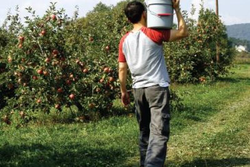 migrant worker jan11