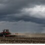 Rain or Drought