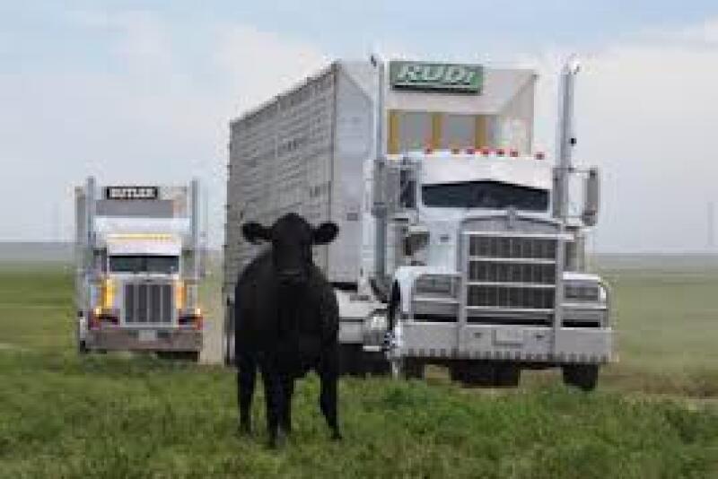 The choice of "movement assistance device" may affect the loading outcome.
