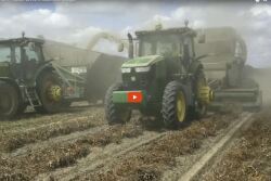 PeanutHarvest