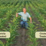 p10 Healthy Roots Matter 1