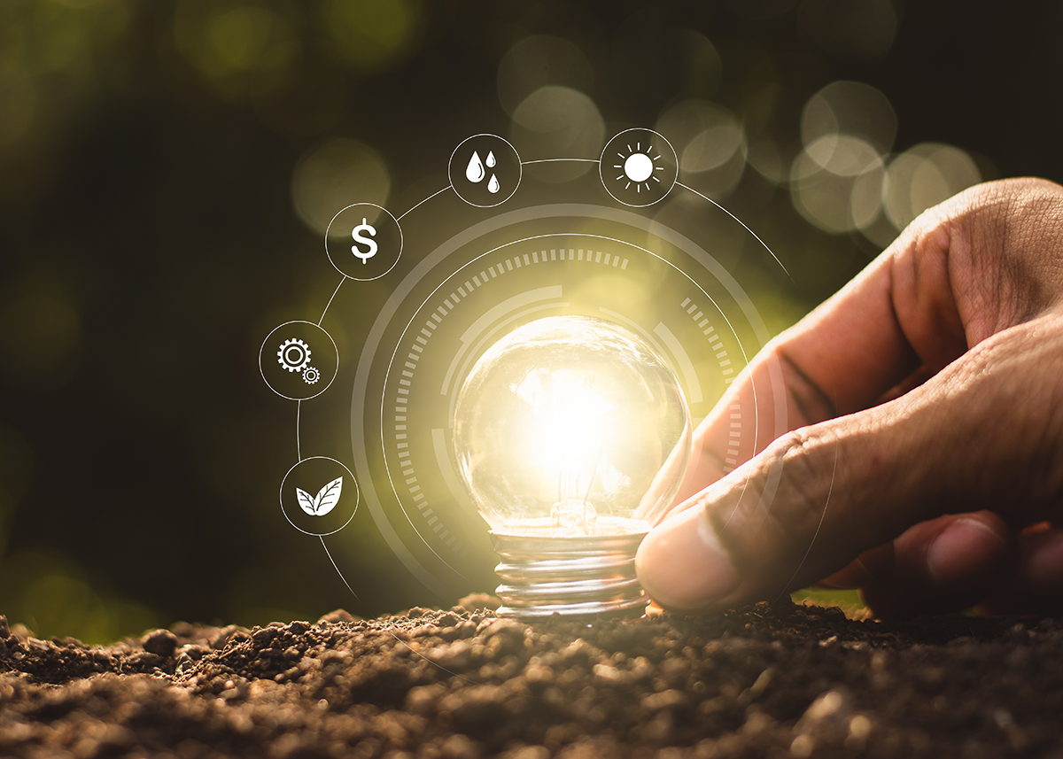 McCain Foods launches potato tech company - The Packer