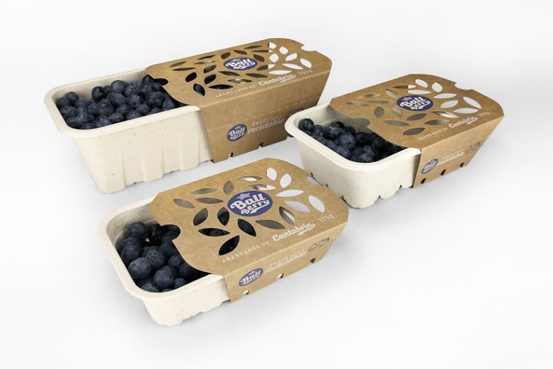 Berry 