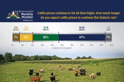 Ag Economists Monthly Monitor 10-2025 - Cattle Prices - WEB LEAD IMAGE.jpg