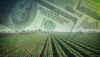 Faber said USDA told them the changes occurred because of a software update to its reporting system in 2019, during the Trump administration. 
