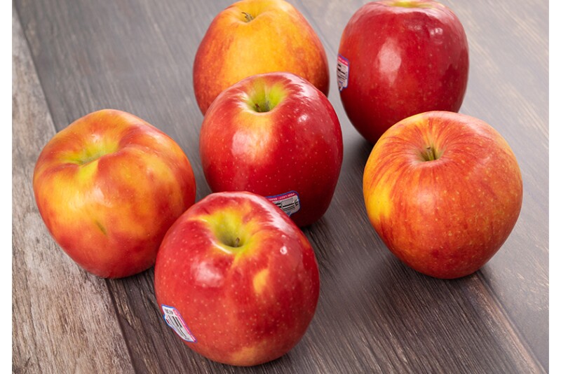 Apple marketing business updates.