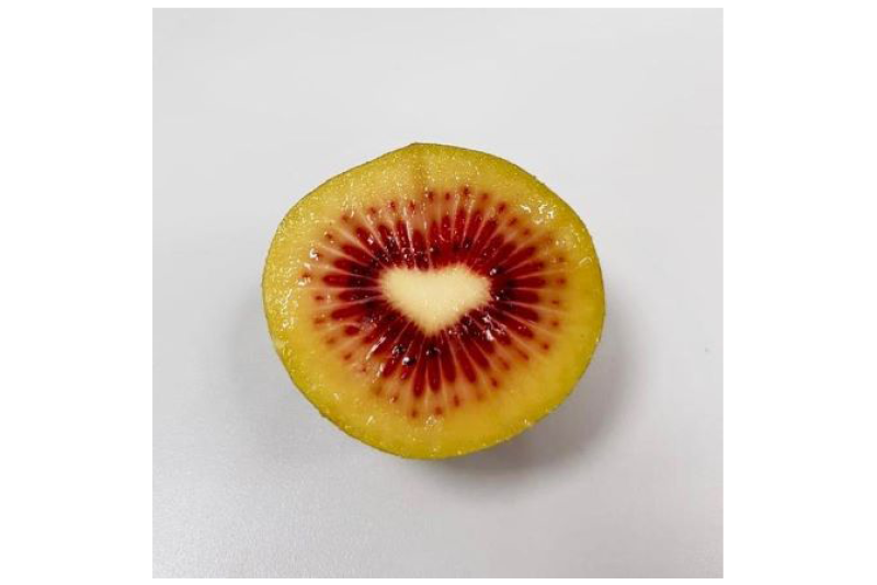 New York-based Trucco is importing red kiwifruit from Italy. 