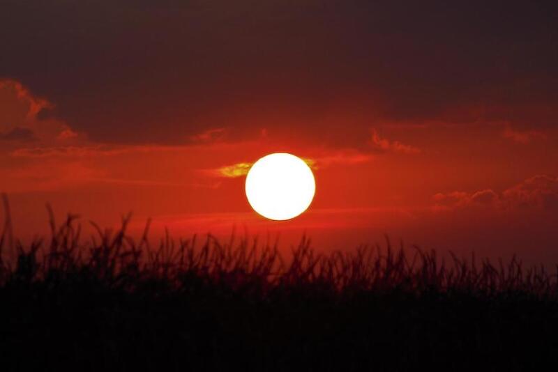 Sun