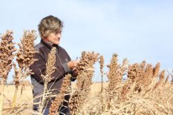 Tracy Zink farms roughly 3,000 acres of corn, soybeans, wheat, grain sorghum and pastures in Nebraska. She was recently named a conservation steward for America's Conservation Ag Movement.