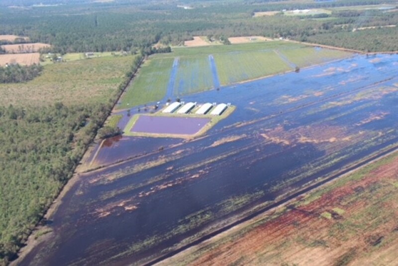 Hurricane Florence dumped as much as 30 inches of rain on some parts of North Carolina. 