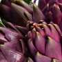 A greater percentage of higher-income consumers reported fresh artichoke purchases; 14% of consumers making more than $100,000 per year said they purchased fresh artichokes in the previous year.