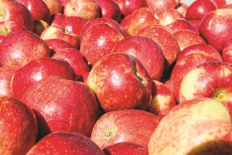 apples