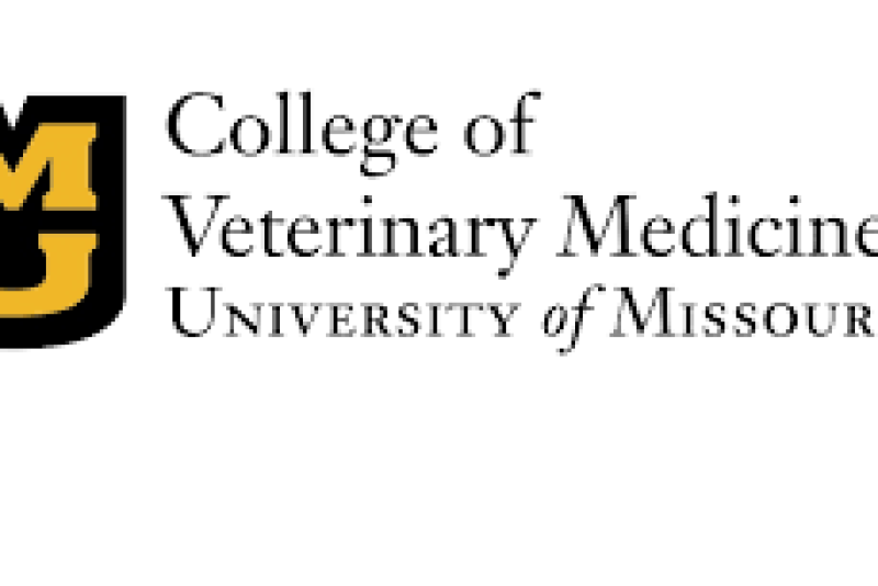 The program is for those who want to lead global and regional efforts in food safety and zoonotic disease prevention.