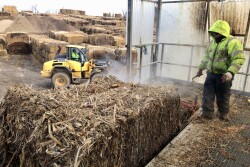 To-Jo Mushrooms Inc. composting process