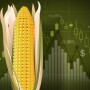 Markets Image Corn
