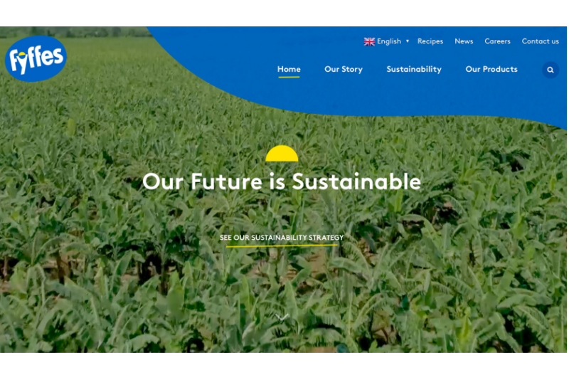Fyffes website.png
