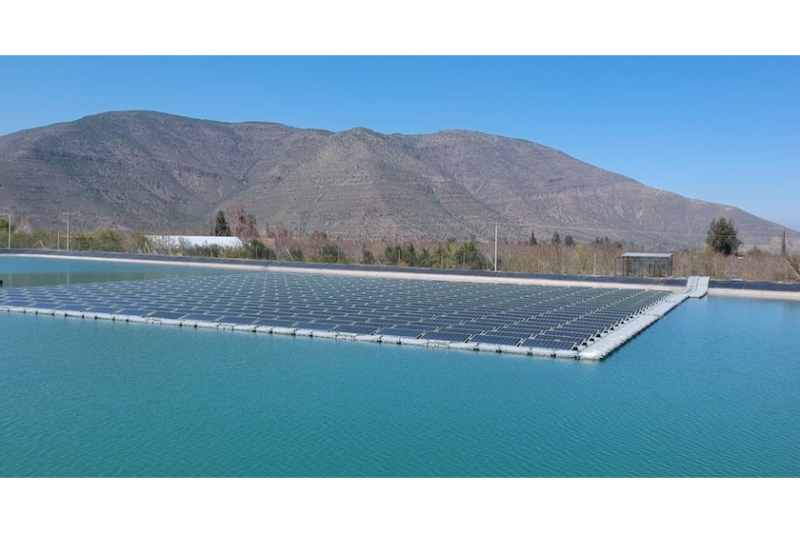 naturipe solar