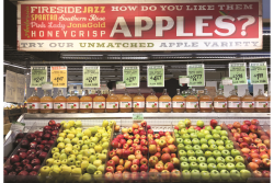Apples-Marketing-display.png
