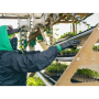 Plant tape