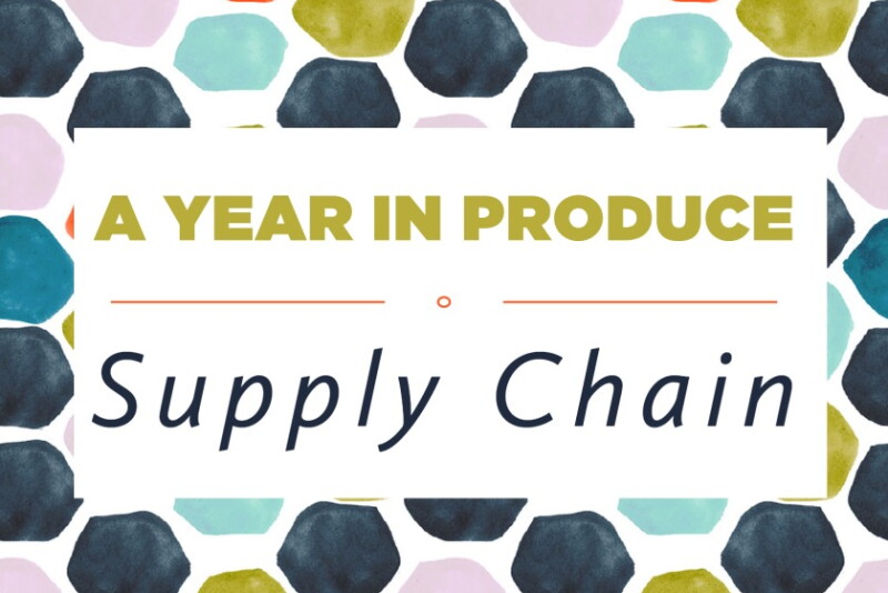 YIP - Supply Chain-1.jpg